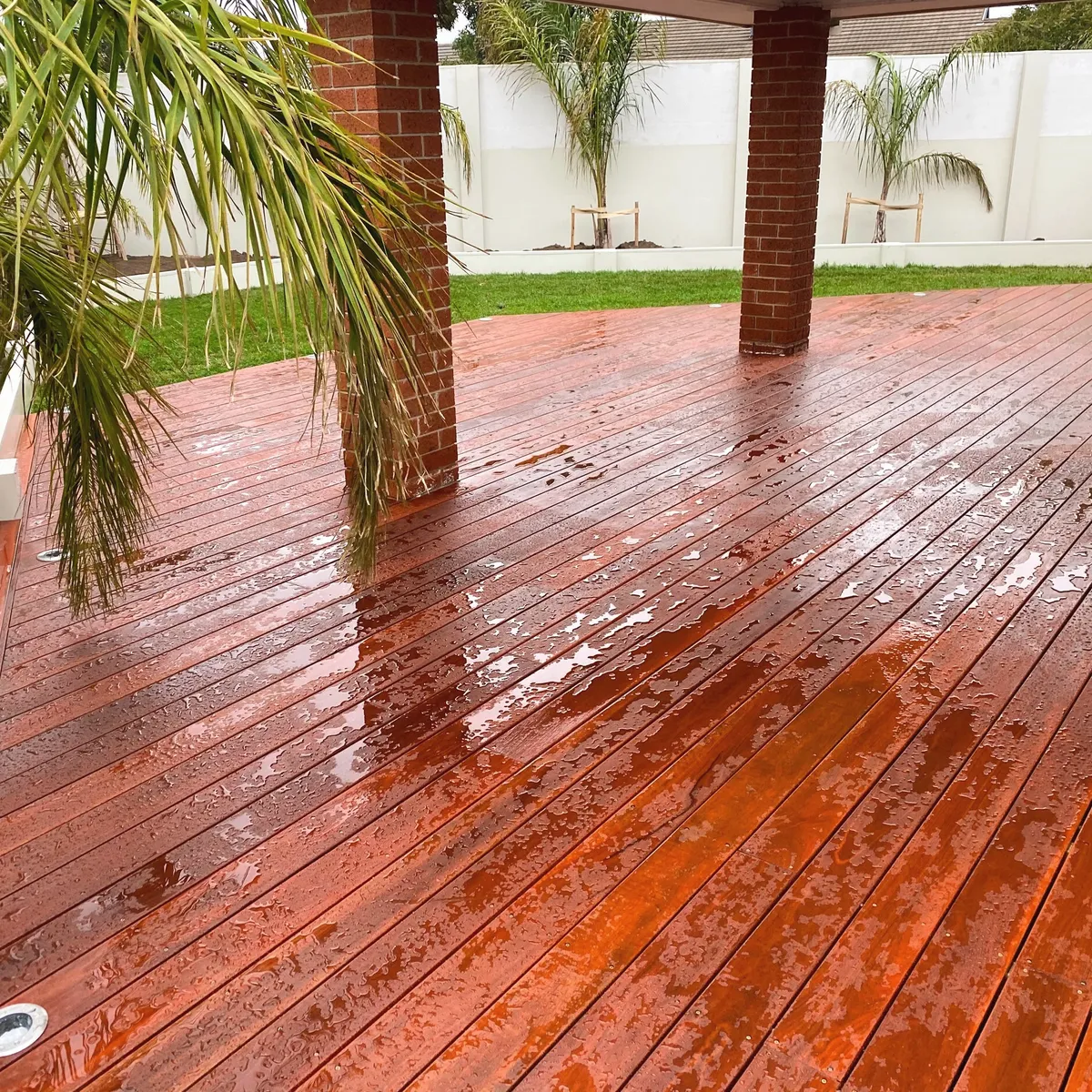 Freshly oiled hardwood timber deck running out from a pergola on brick piers, rain still on the boards