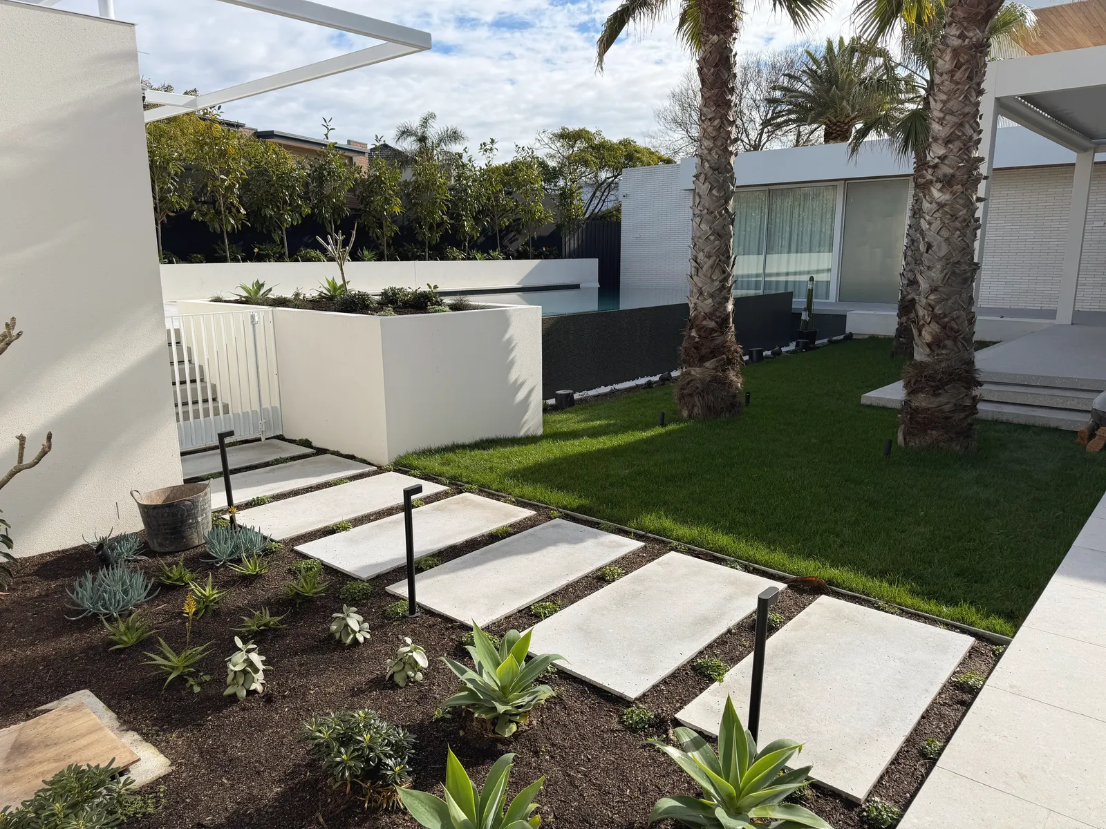 Pale stone stepping pavers running through a succulent garden bed to a level lawn, palms and a white rendered house behind