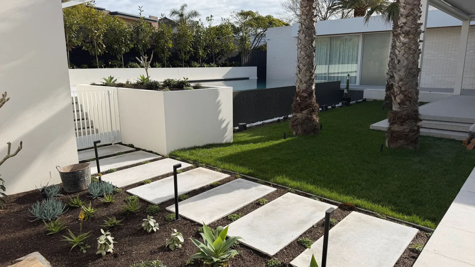 Pale stone stepping pavers running through a succulent garden bed to a level lawn, palms and a white rendered house behind