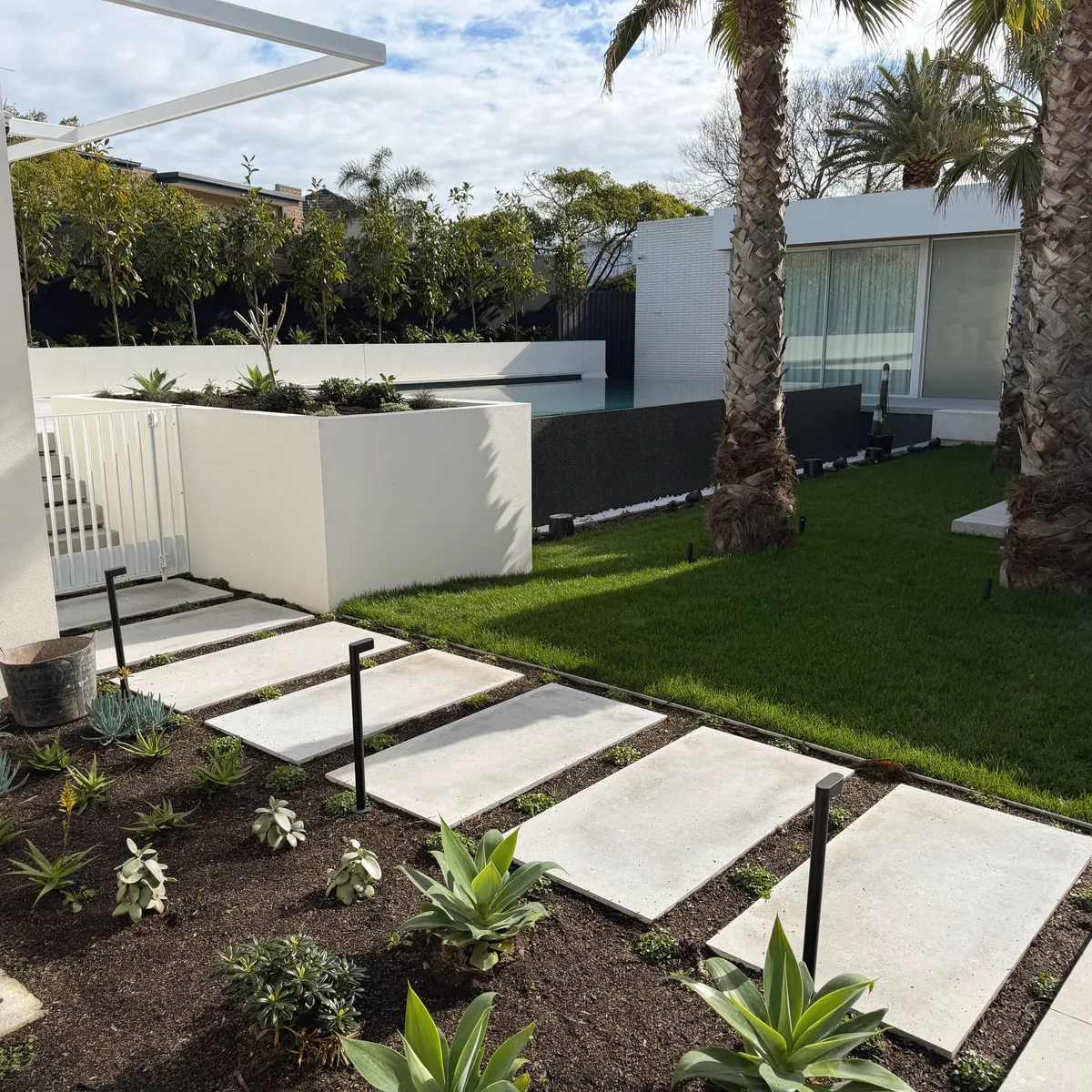 Pale stone stepping pavers running through a succulent garden bed to a level lawn, palms and a white rendered house behind
