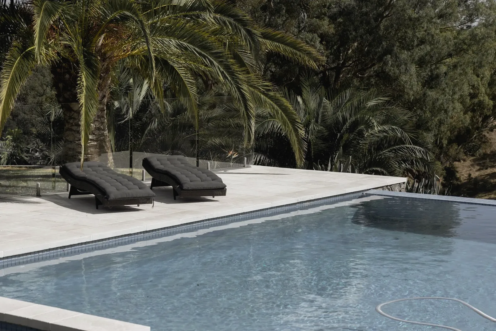 Pool with a pale stone surround and two sun loungers, mature date palms along the far edge