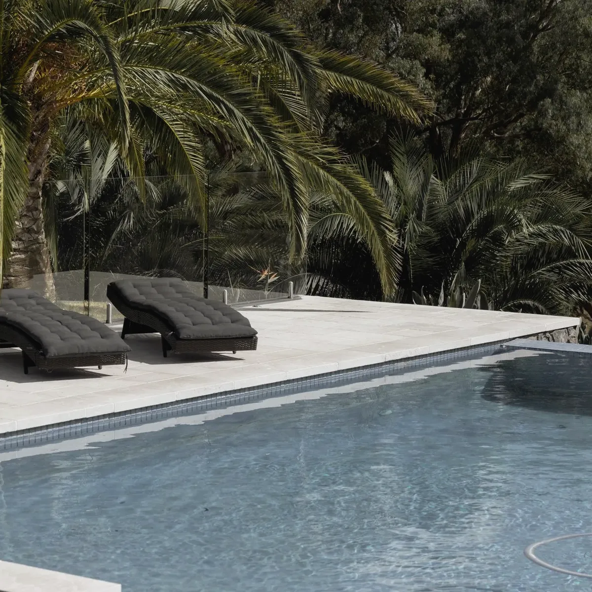 Pool with a pale stone surround and two sun loungers, mature date palms along the far edge