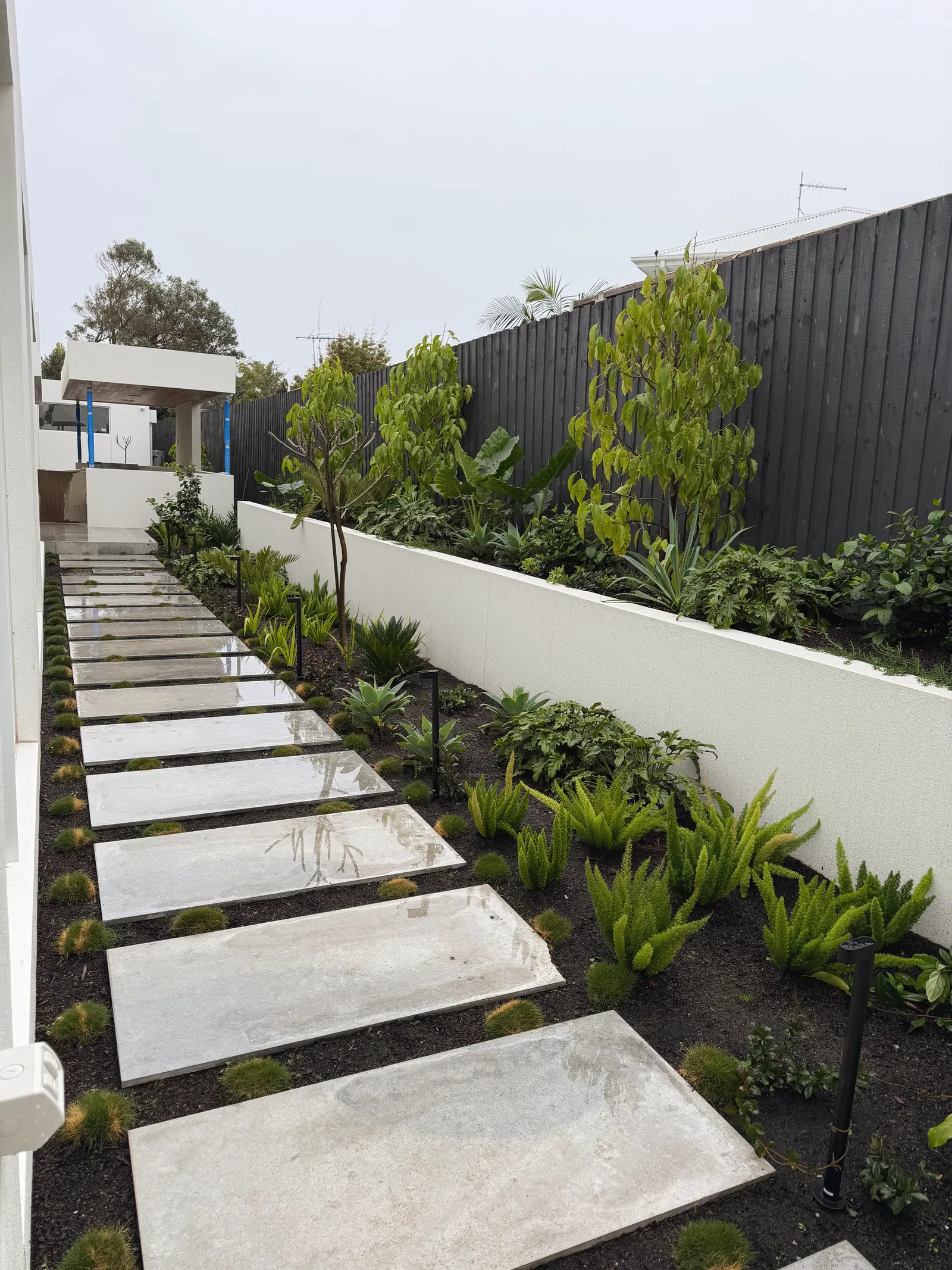 Rendered retaining wall holding a raised garden bed of ferns, with large concrete stepping pavers along a side path