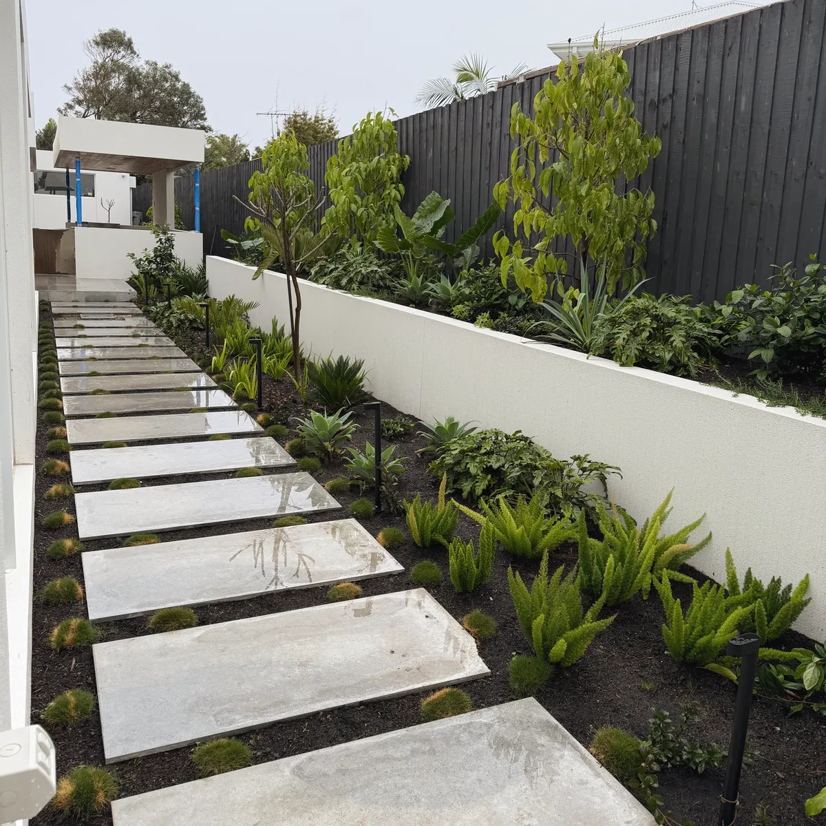 Rendered retaining wall holding a raised garden bed of ferns, with large concrete stepping pavers along a side path
