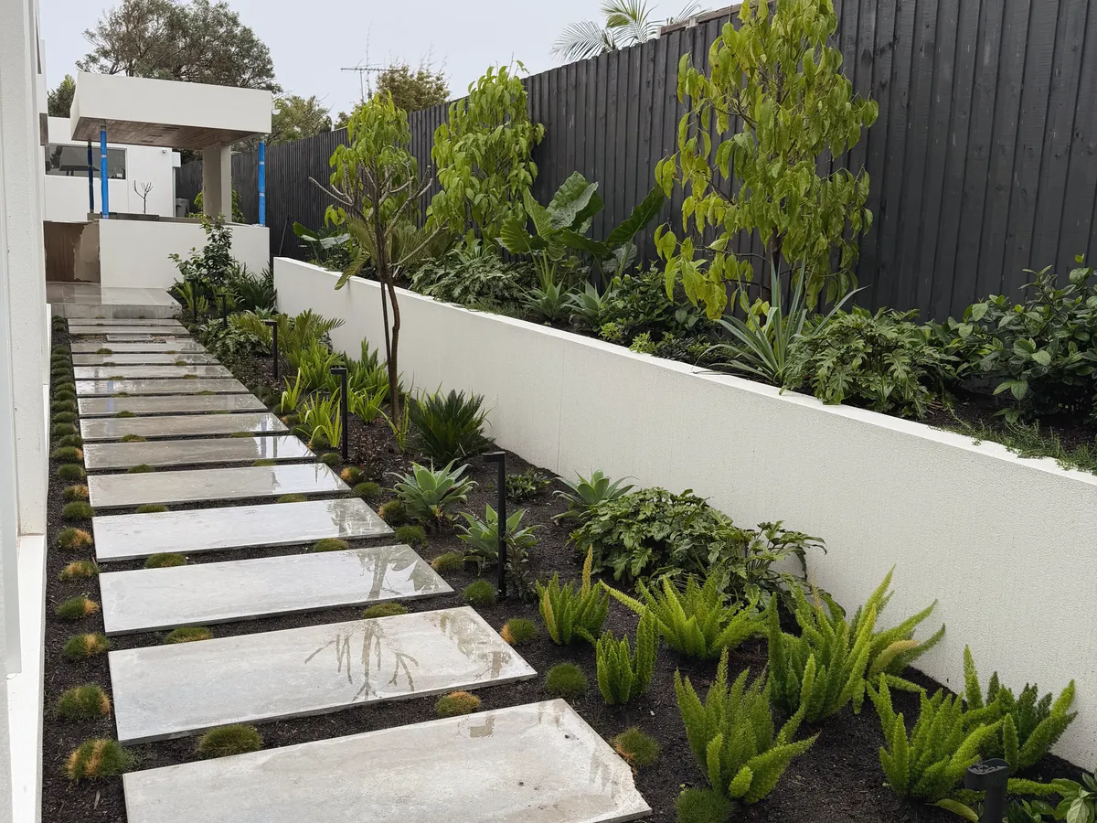 Rendered retaining wall holding a raised garden bed of ferns, with large concrete stepping pavers along a side path